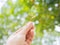 Growing a plant. Hands holding and nurturing tree