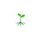 Growing plant icon vector graphics