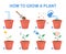 Growing a plant in the pot guide.