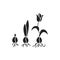 Growing plant stages black glyph icon. The seed, germination, growth, reproduction, pollination, and seed spreading. Pictogram for