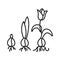 Growing plant stages black line icon. The seed, germination, growth, reproduction, pollination, and seed spreading. Pictogram for