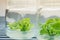 Growing plants tissue culture in vitro. Biology science for plant regeneration