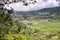 The Growing Rice fields in Munduk Village at Bali, Indonesia