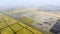 Growing rice on flooded fields. Ripe rice in the field, the beginning of harvesting. A bird\'s-eye view.