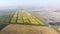 Growing rice on flooded fields. Ripe rice in the field, the beginning of harvesting. A bird\'s-eye view.