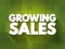 Growing Sales text quote, business concept background