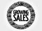 Growing Sales words cloud