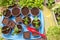 Growing, seeding, planting, transplant seedling, homeplant, vegetables at home. Little young plants in pot. Top view, flat lay