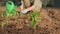 Growing seedling of a plant against the background of a farmer planting seedlings