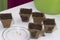 Growing seedlings at home. On the table are peat pots filled with earth, and filled with water. Nearby is a saucer with seeds.