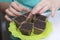 Growing seedlings at home. A woman puts peat pots filled with earth on a tray.