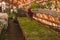 Growing seedlings in peat pots. Plants in sunlight in modern botany greenhouse