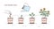 Growing stages of potted plant - seeding, sprout, watering of seedlings, flowering. Visualization of life cycle, growth