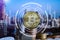 Growing step Photo Golden Bitcoins Coins bitcoin concept