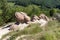 The Growing Stones - Babele de la Ulmet Ulmet, Buzau County, Romania