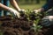 Growing Together: Dedicated Volunteers Planting Seedlings and Nurturing Nature\\\'s Promise, created with Generative AI