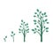 Growing tree. Tree growth stages. Flat style, vector illustration.