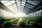 growing vegetables and horticultural crops through hydroponics in a modern high-tech farm