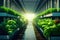 growing vegetables and horticultural crops through hydroponics in a modern high-tech farm, innovative technologies in