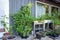 Growing in vertical towers is perfect for small spaces