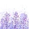 Growing violet magic leaves - digital watercolorlor background