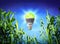 Growth ecology - led lamp - green lighting