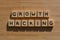 Growth Hacking, business jargon, words in 3d wooden alphabet letters on a wood background