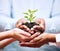 Growth occurs in small steps. a group of businesspeople holding a plant growing out of soil.