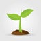 Growth of plant, from sprout to vegetable. Planting tree.