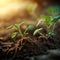 Growth plants concept in the nature morning light on green background. Small young plants on a green background, the concept of