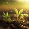 Growth plants concept in the nature morning light on green background. Small young plants on a green background, the concept of