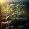 Growth plants concept in the nature morning light on green background. Small young plants on a green background, the concept of