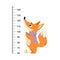 Growth Ruler with Cute Fox Animal at Kids Height Meter Vector Illustration