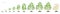 Growth stages of Soybean plant. Soya bean phases set ripening period. Glycine max life cycle, animation progression.