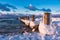 Groyne on shore of the Baltic Sea