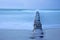 Groynes protruding into the horizon in the Baltic Sea. Long exposure with muted colors