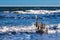 Groynes on shore