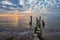 Groynes on shore of the Baltic Sea in Graal Mueritz, Germany