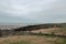 Groynes at Whitstable Beach at low tide