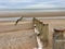 Groynes on Winchelsea Beach to stop the erosion by the tides and weather. Pebble beach with sea and sky landscape - East Sussex UK