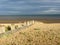 Groynes on Winchelsea Beach to stop the erosion by the tides and weather. Pebble beach with sea and sky landscape - East Sussex UK