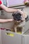 A grummer washes a small beige pug dog