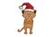 Grumpy cat with Christmas hat icon vector