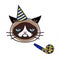 Grumpy cat in party hat with party horn blower