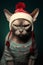 Grumpy Cat\\\'s Horrifying Holiday Costume: A Knitted Sweater Hat w