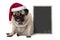 Grumpy Christmas pug puppy dog with red santa hat sitting next to blank blackboard sign