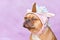 Grumpy French Bulldog dog with wearing a funny knitted pink unicorn hat costume