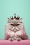 Grumpy Persian cat with crown on pastel blue background