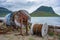 Grundarfjordur harbor and Kirkjufell mountain, Iceland