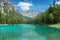 Gruner See with crystal clear water in Austria